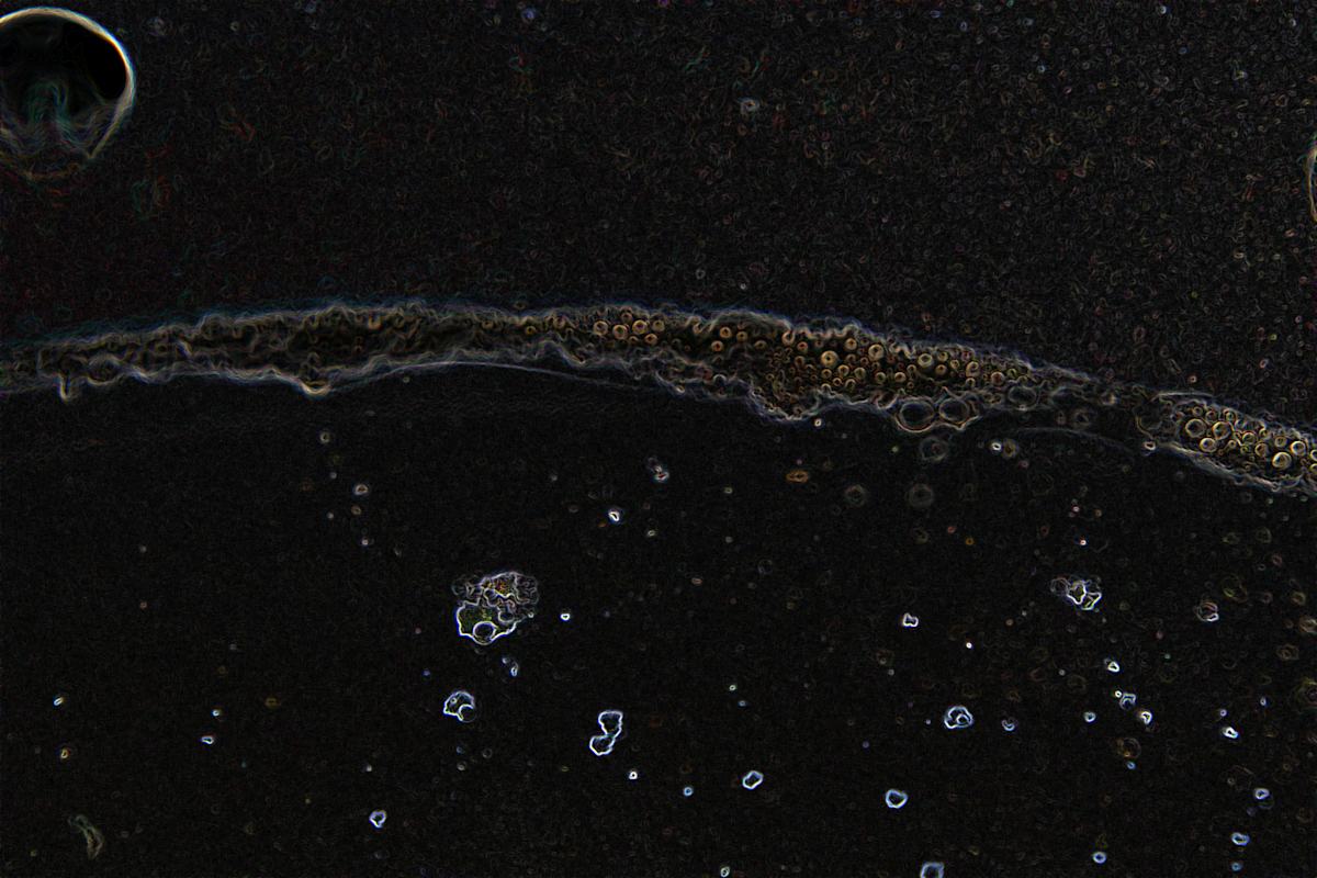 viruses_9_kpafnk_8, Image 2.