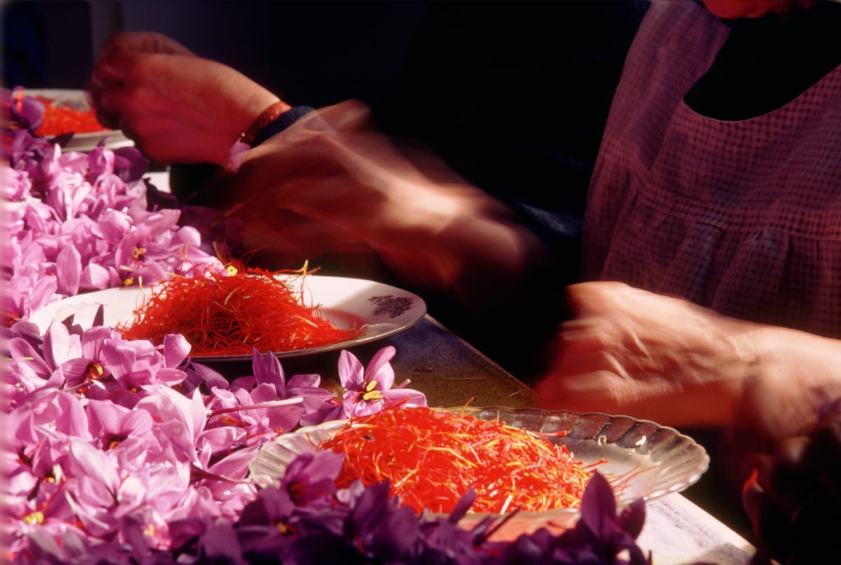 Untitled (Saffron hands close up) by Kay Chernush 
