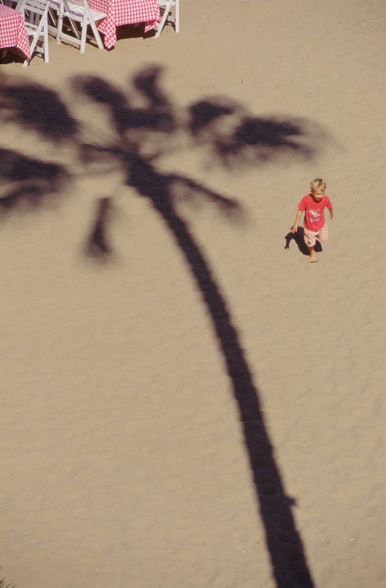 Untitled (Palm tree and boy) 