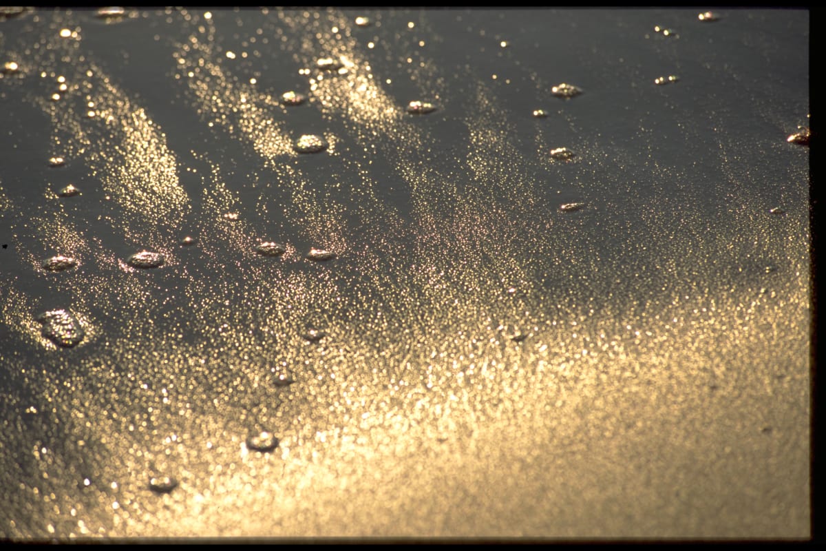 Untitled (Sand and water droplets) 