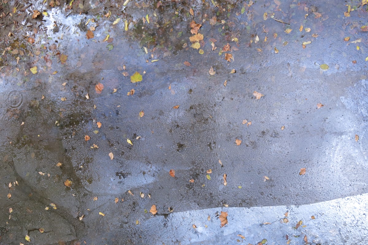 Untitled (ice on water) 