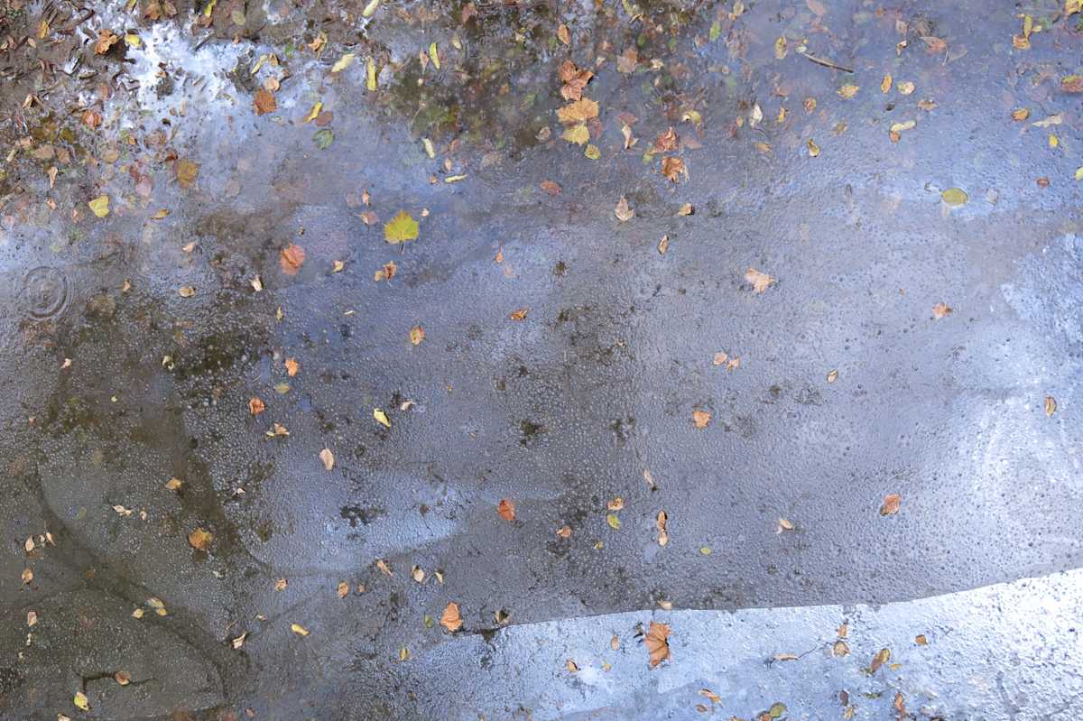 Untitled (ice on water), Image 1.
