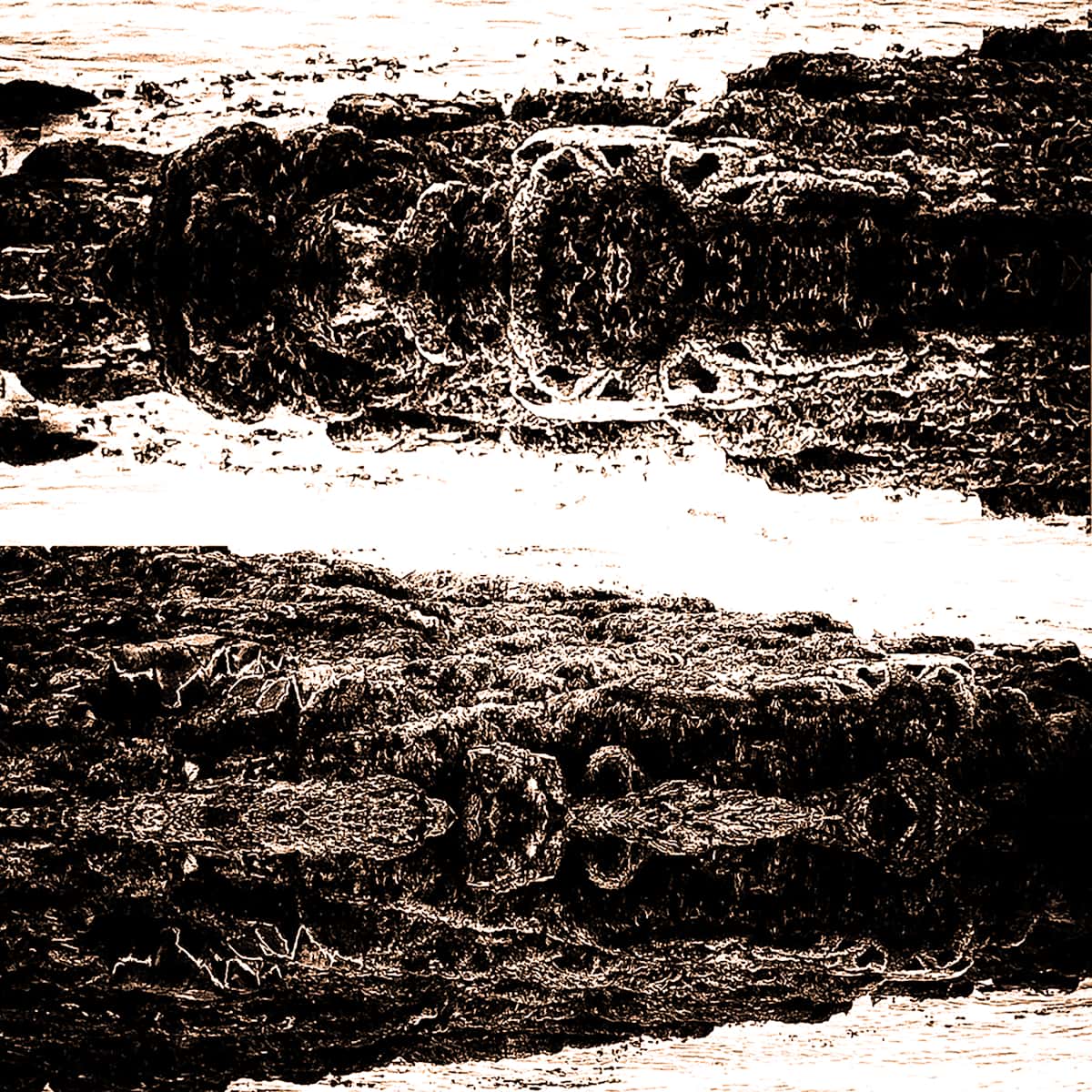 'Visual Notes' (15) by Katie Hagen (Kat) 