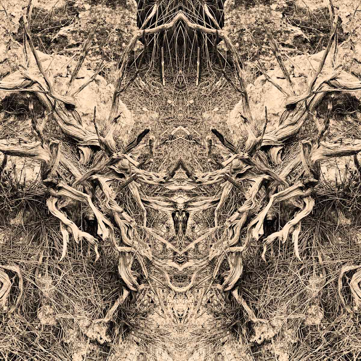 Hidden Creature 01 by Katie Hagen (Kat), Image 8.