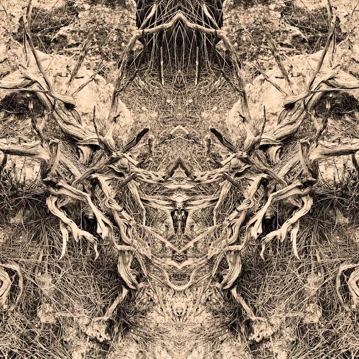 Hidden Creature 01 by Katie Hagen (Kat), Image 8.