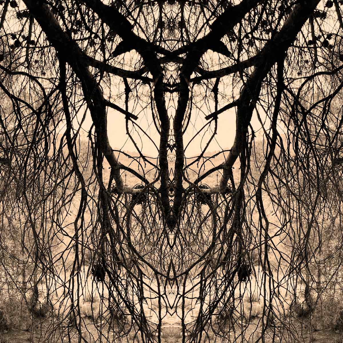 Hidden Creature 02 by Katie Hagen (Kat), Image 2.
