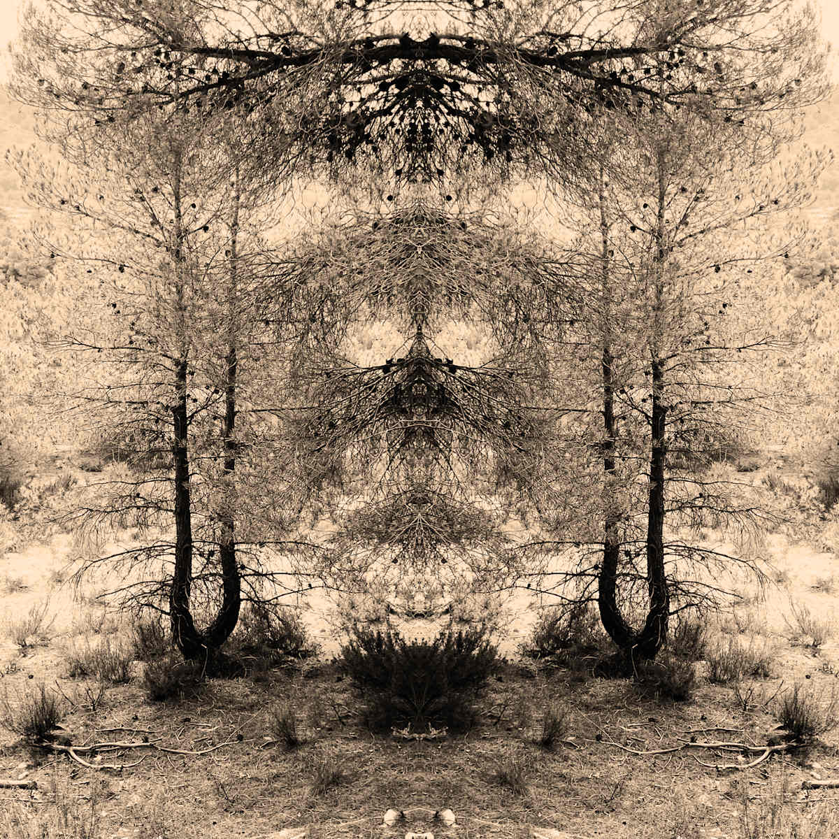 Hidden Creature 03 by Katie Hagen (Kat), Image 7.