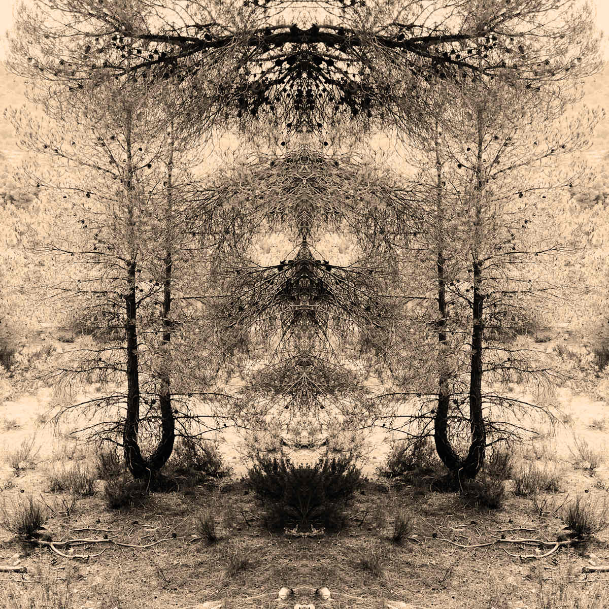Hidden Creature 03 by Katie Hagen (Kat), Image 7.