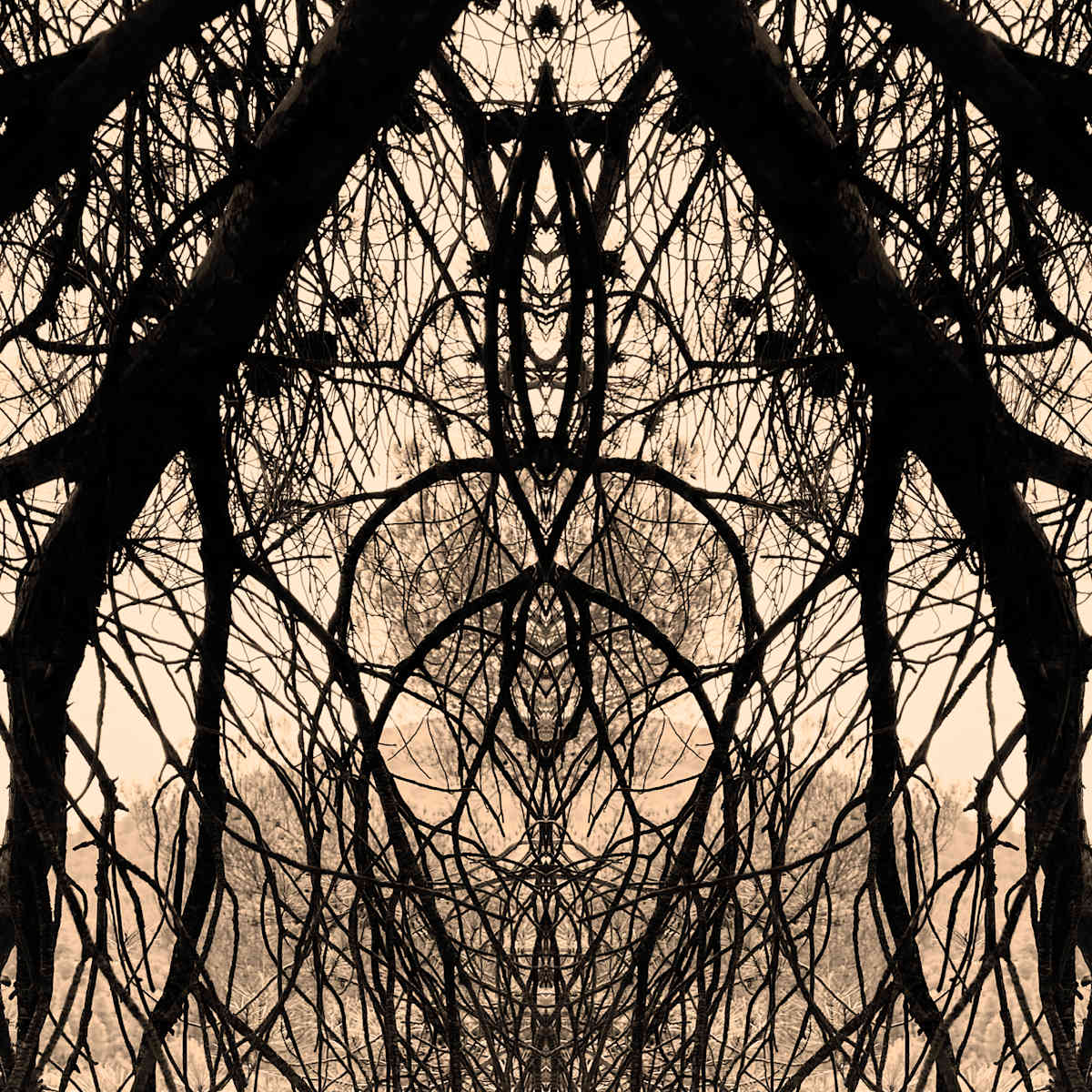 Hidden Creature 05 by Katie Hagen (Kat), Image 3.