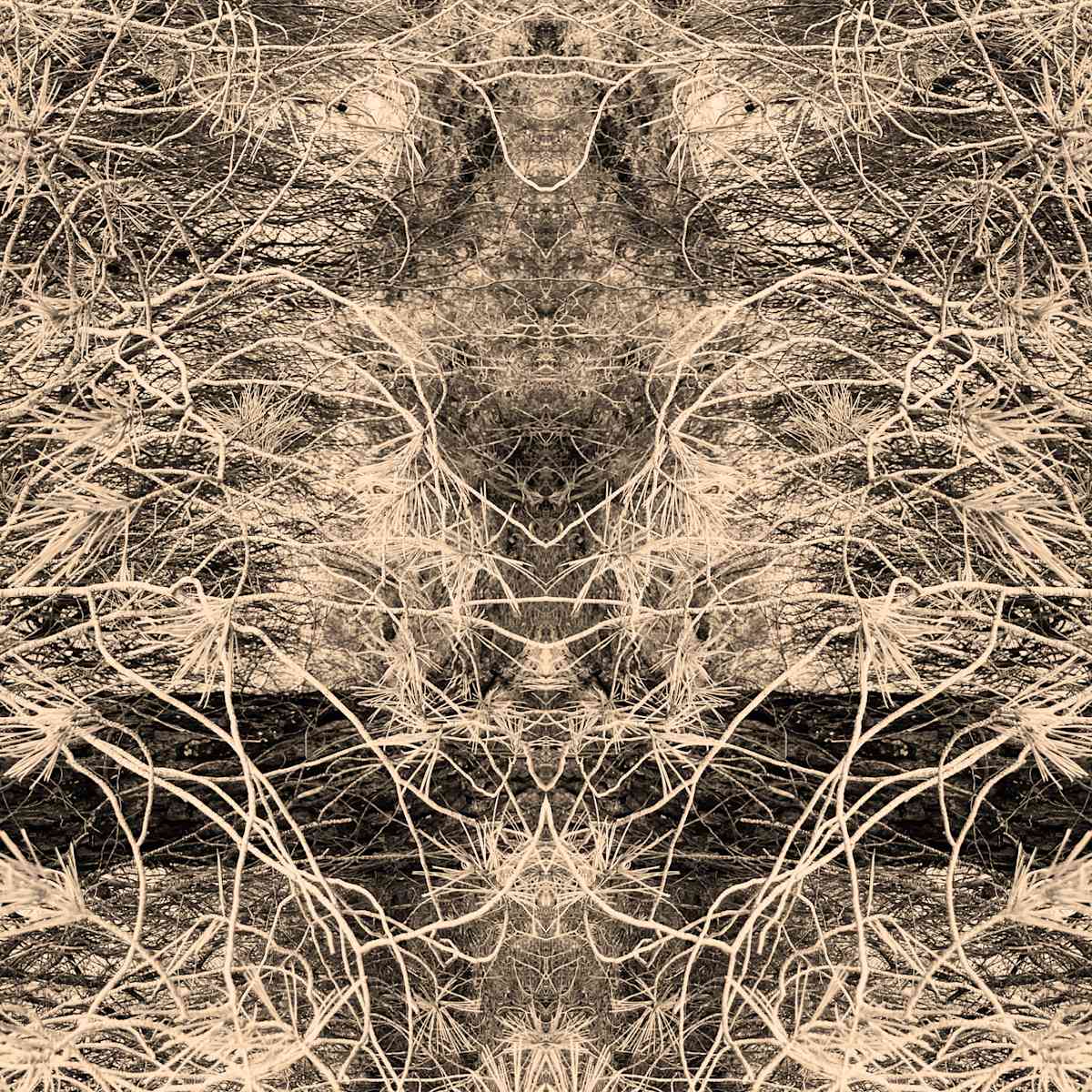 Hidden Creature 07 by Katie Hagen (Kat), Image 6.