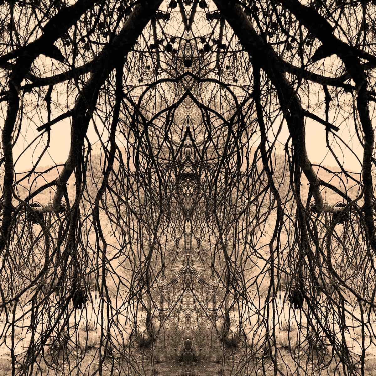 Hidden Creature 09 by Katie Hagen (Kat), Image 4.