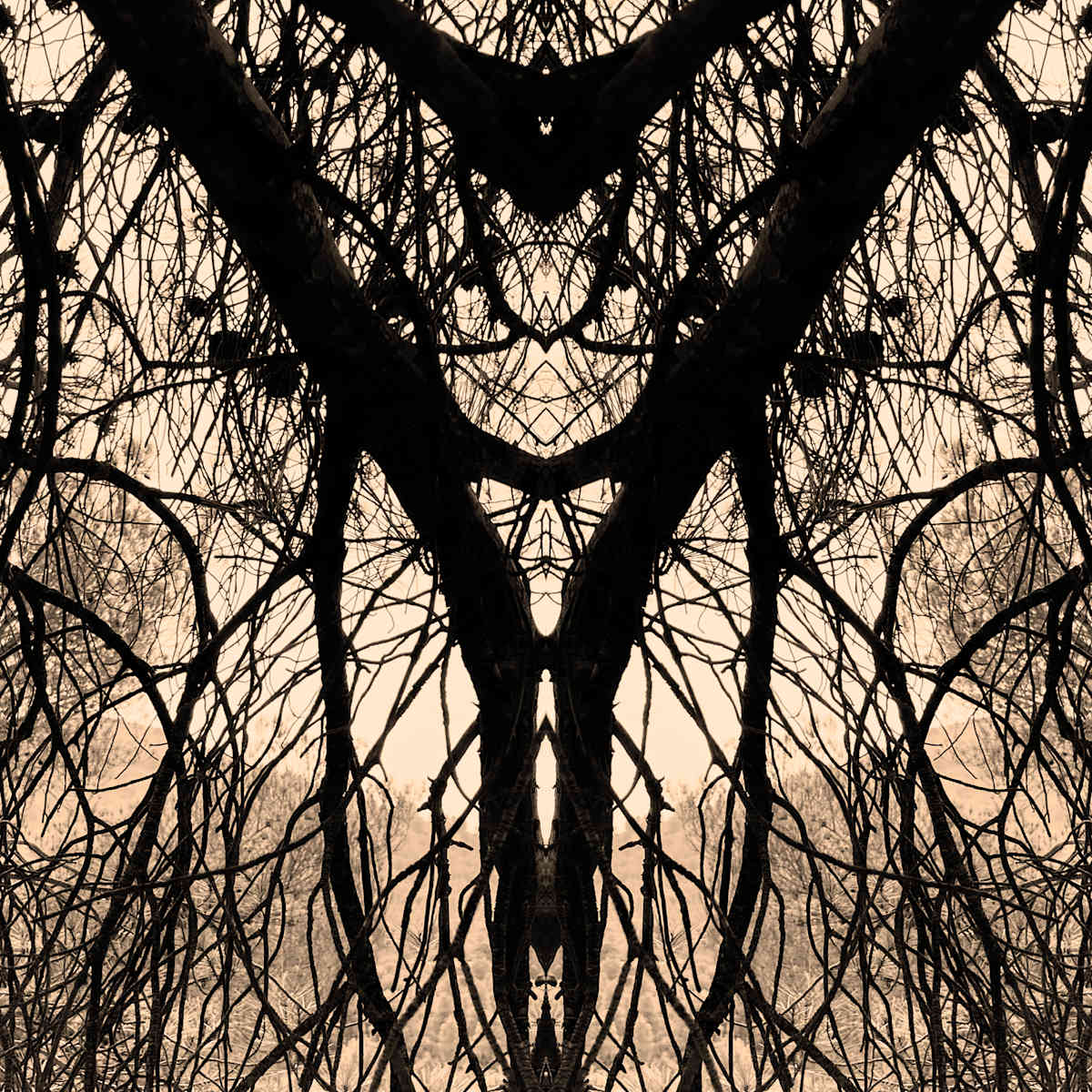 Hidden Creature 10 by Katie Hagen (Kat), Image 5.
