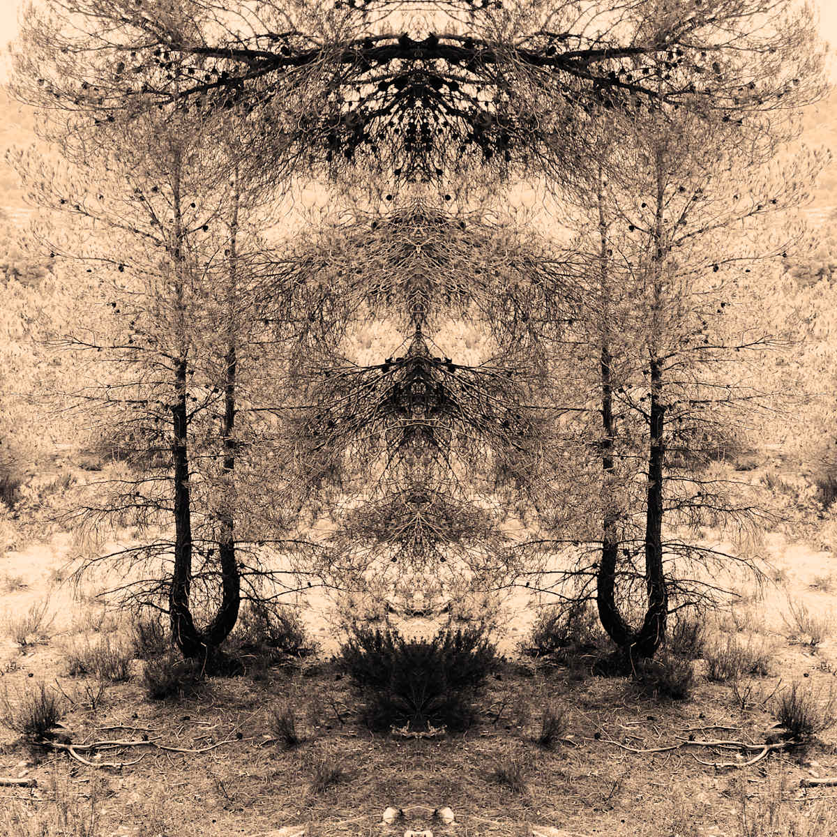 'Wild Things' nr 3 by Katie Hagen (Kat) 