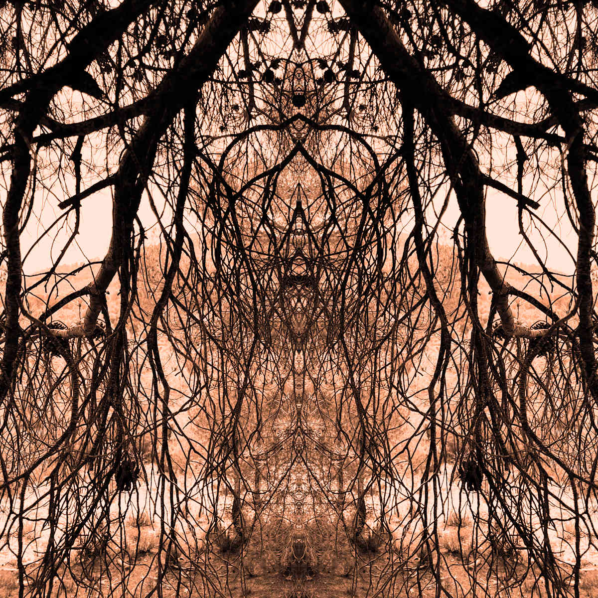 'Wild Things' nr 9 by Katie Hagen (Kat) 