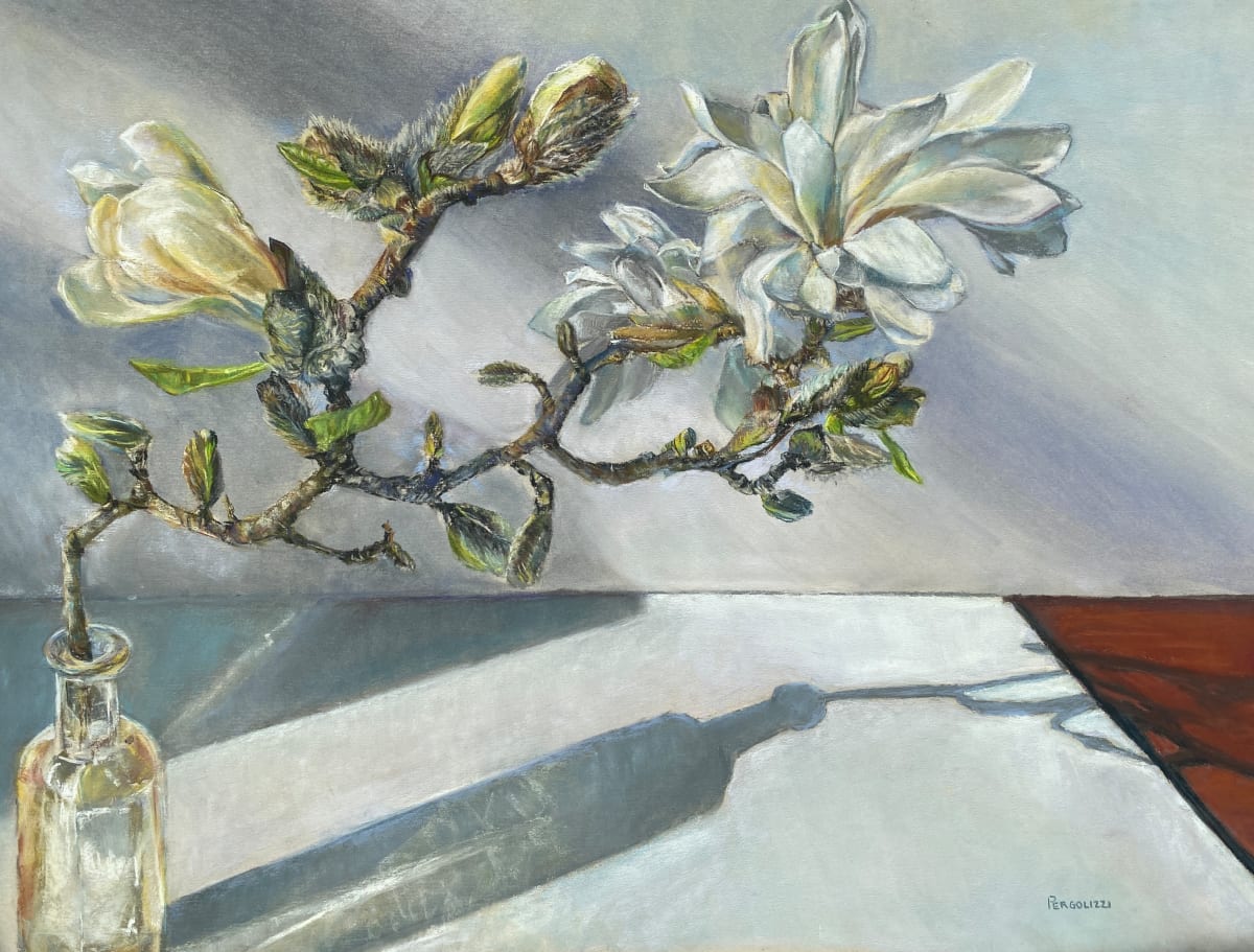 Transience  Image: Large pastel challenged me to record one small branch of my neighbor’s Star Magnolia tree before all of the blooms fell off.