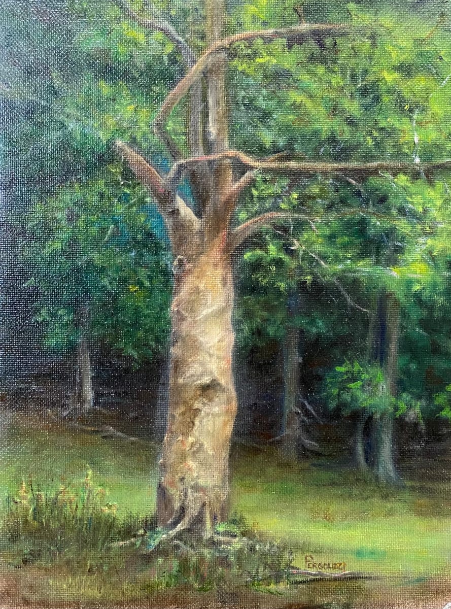 Summer Sycamore  Image: Plein Air painting done in workshop at Letchworth Park with Tom Kegler.