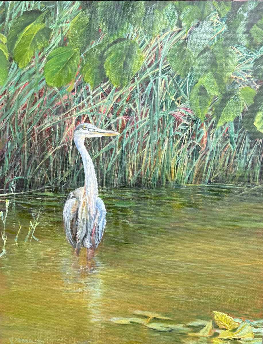 Reflecting on Stillness by Rosemary Pergolizzi  Image: Trout Pond is home to many animals in Seneca Park including the resident Heron.
