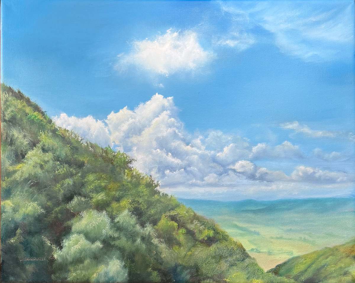Mountain Mindfulness by Rosemary Pergolizzi, Image 1.