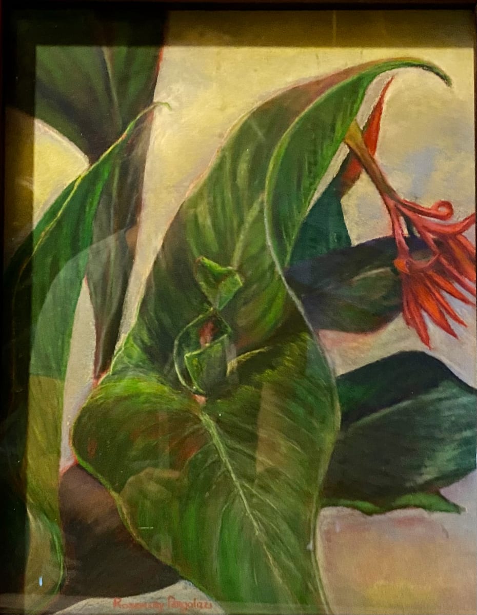 Waiting for the Hummingbirds by Rosemary Pergolizzi  Image: Canna lilies along the side of the house.