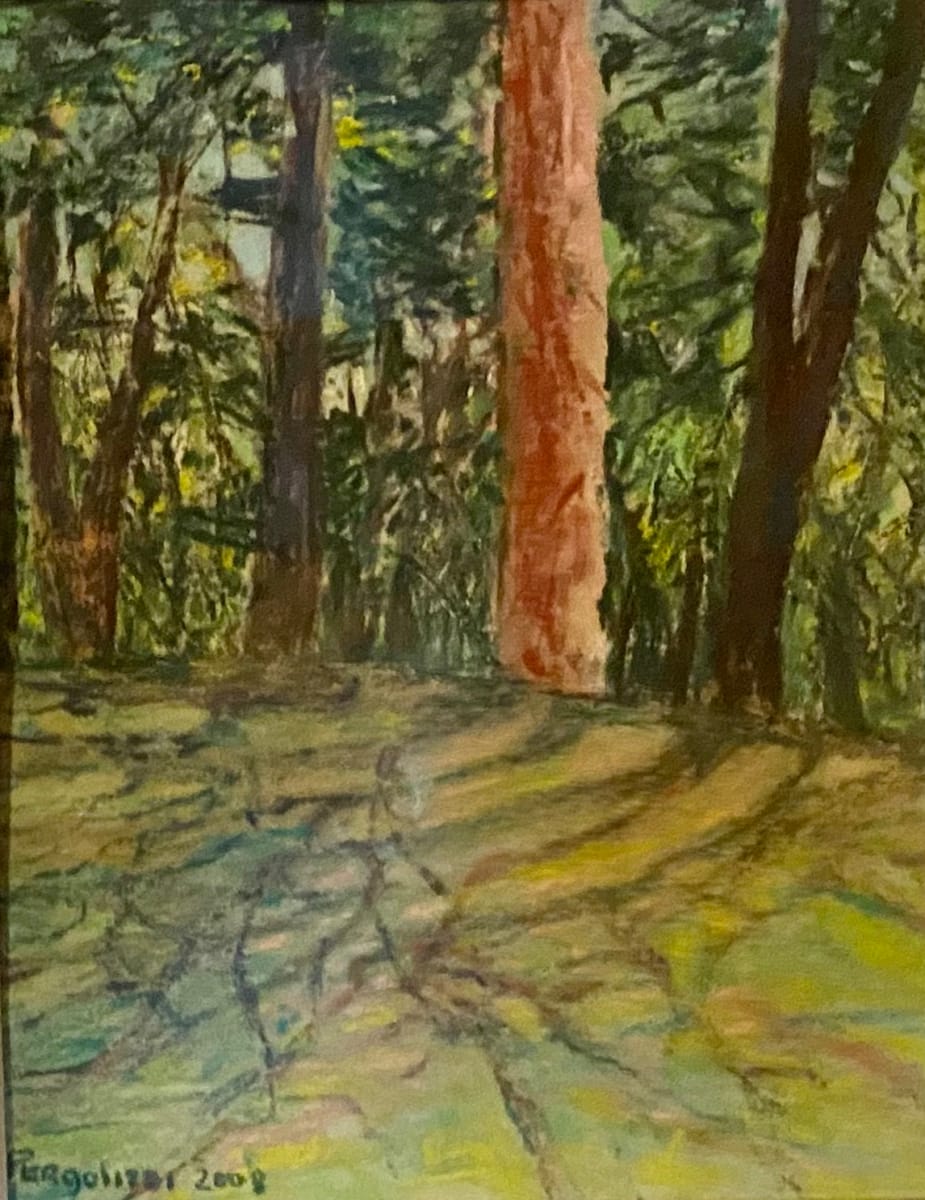 Durand Eastman Park Pinetum by Rosemary Pergolizzi  Image: Study of Pine trees.