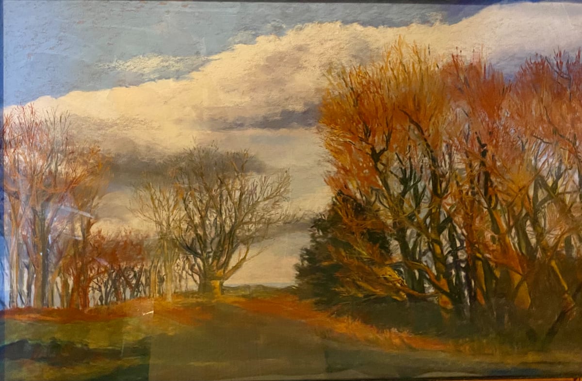 Lakeshore Fall Trees by Rosemary Pergolizzi  Image: Along Lakeshore blvd. colors change with the seasons.