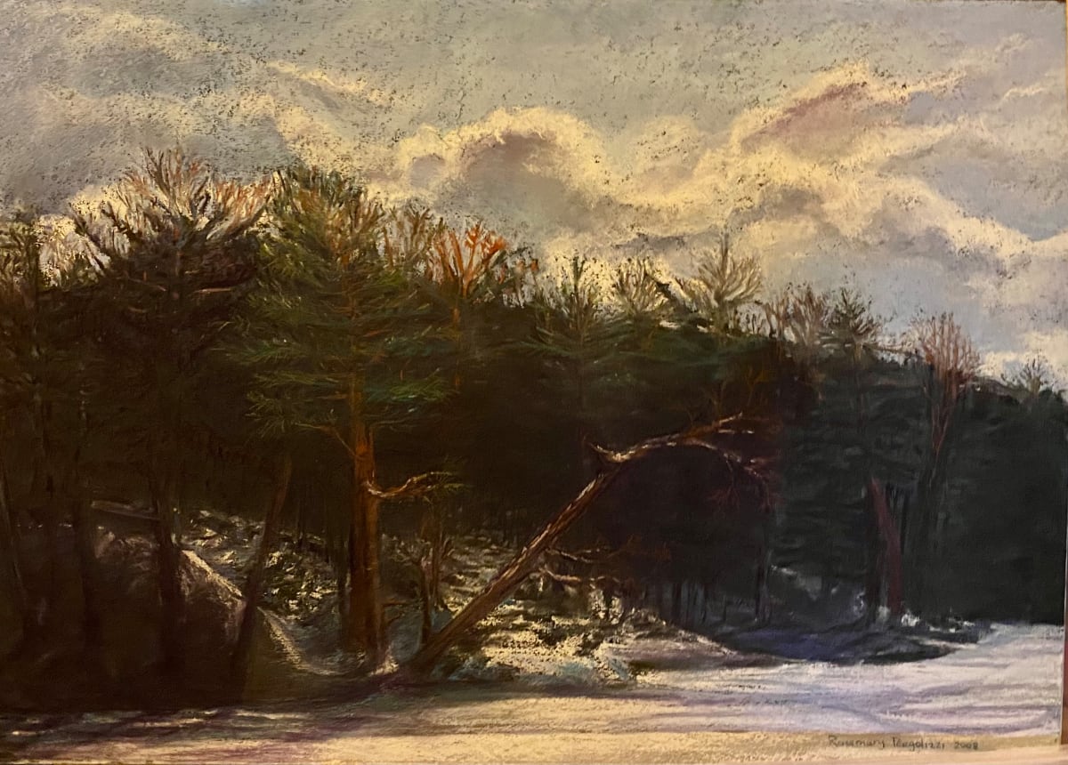 Durand Eastman Park Winter  Walk by Rosemary Pergolizzi  Image: As the lake ices over the snow is a canvas for shadows.