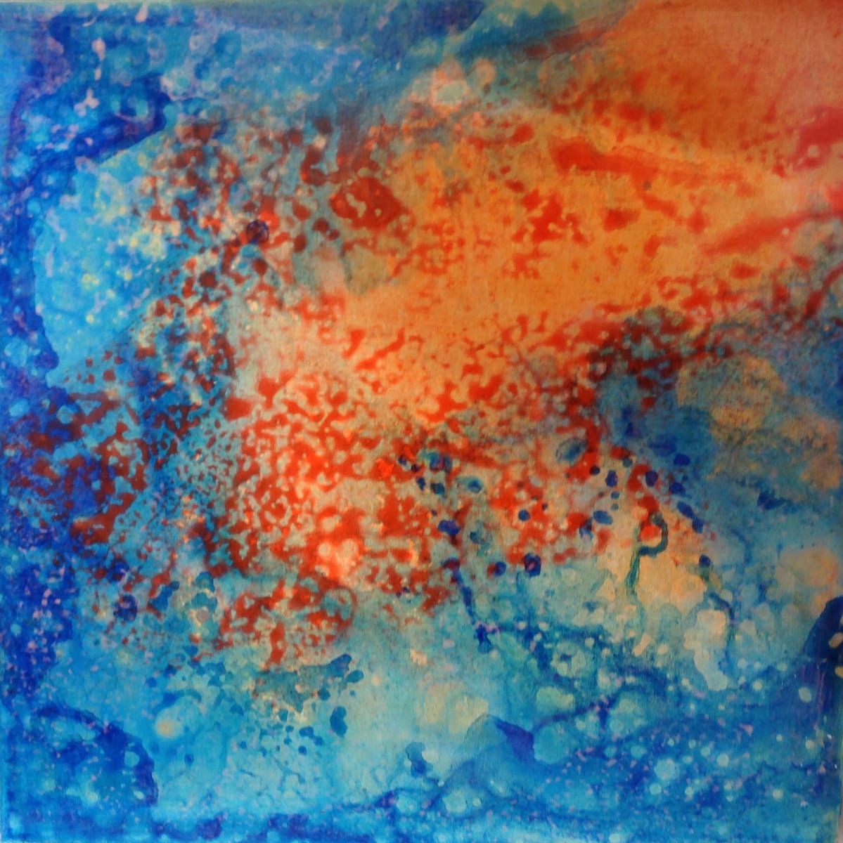 Reef by Bonnie Carter 