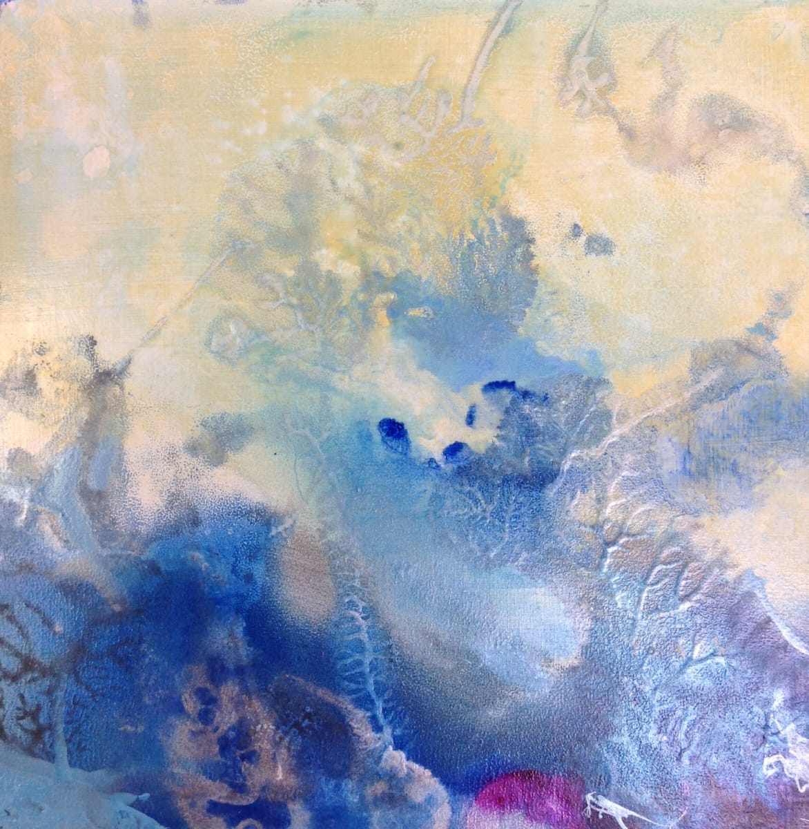 Coral Field by Bonnie Carter, Image 1.