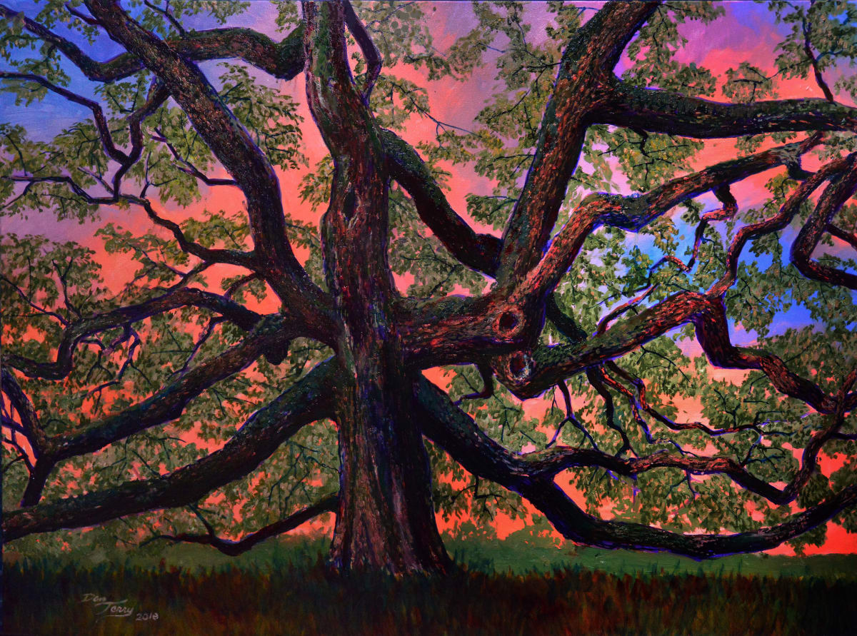 Sunset Oak 24x32 3/100 by Dan Terry 
