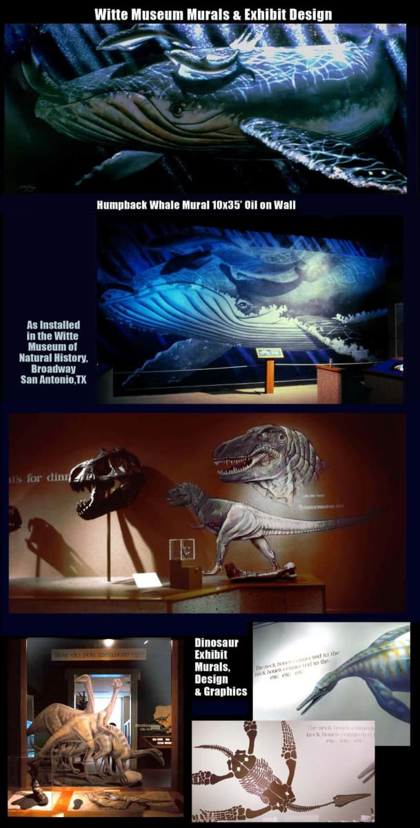 Witte museum exhibit murals  Image: This shows some of the numerous murals and wall graphics created by the artist when employed by the San Antonio Museum Association in the early 1980s within the exhibits department. 