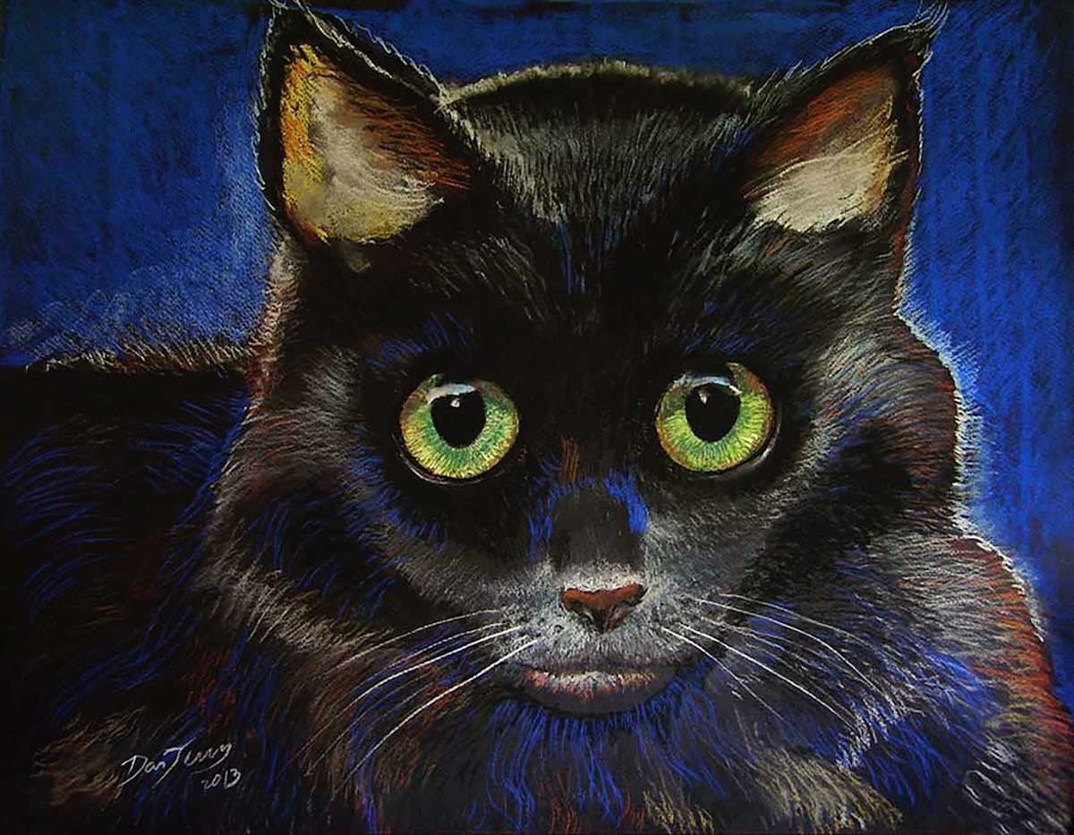 Midnight Gaze by Dan Terry, Image 1.
