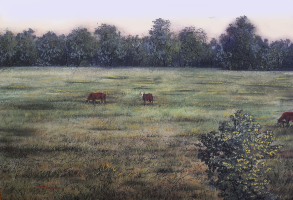 landscape_tx_wcl_mb4cwr_77 
