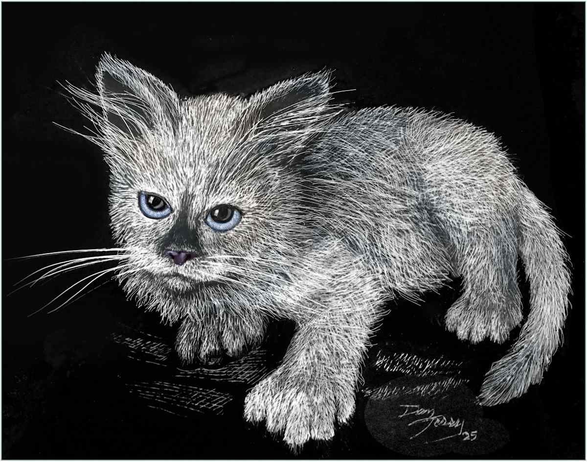Purrl Ragdoll Scratchboard by Dan Terry, Image 1.