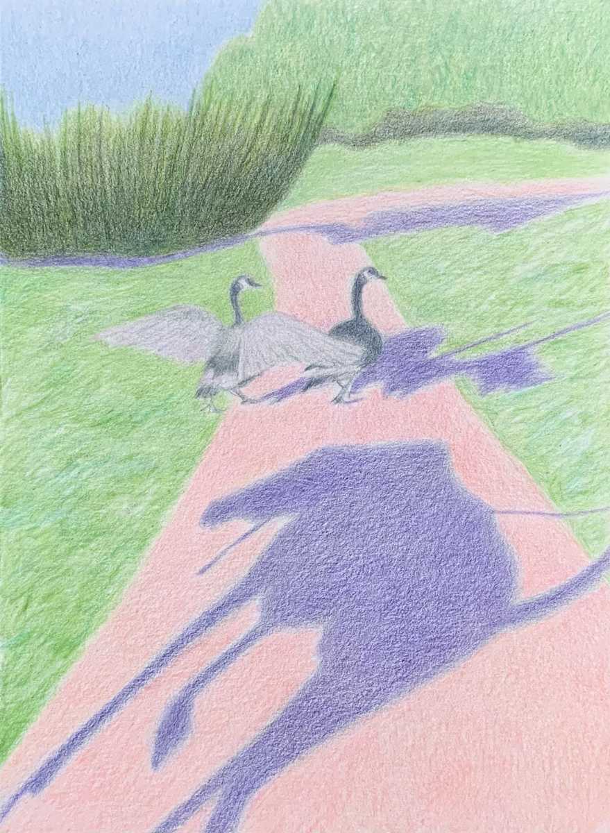 Goose Chase by Mia Risberg 