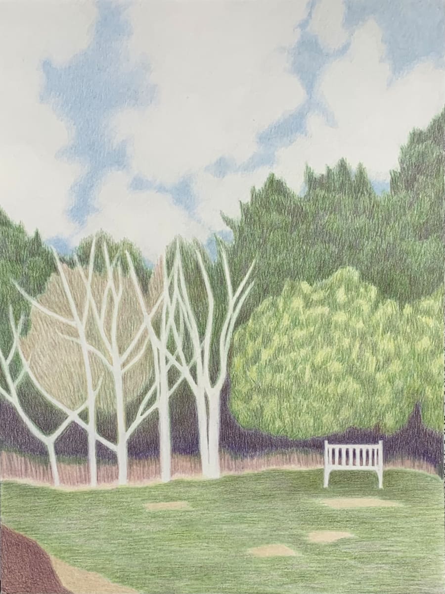 Ghost Trees by Mia Risberg, Image 1.