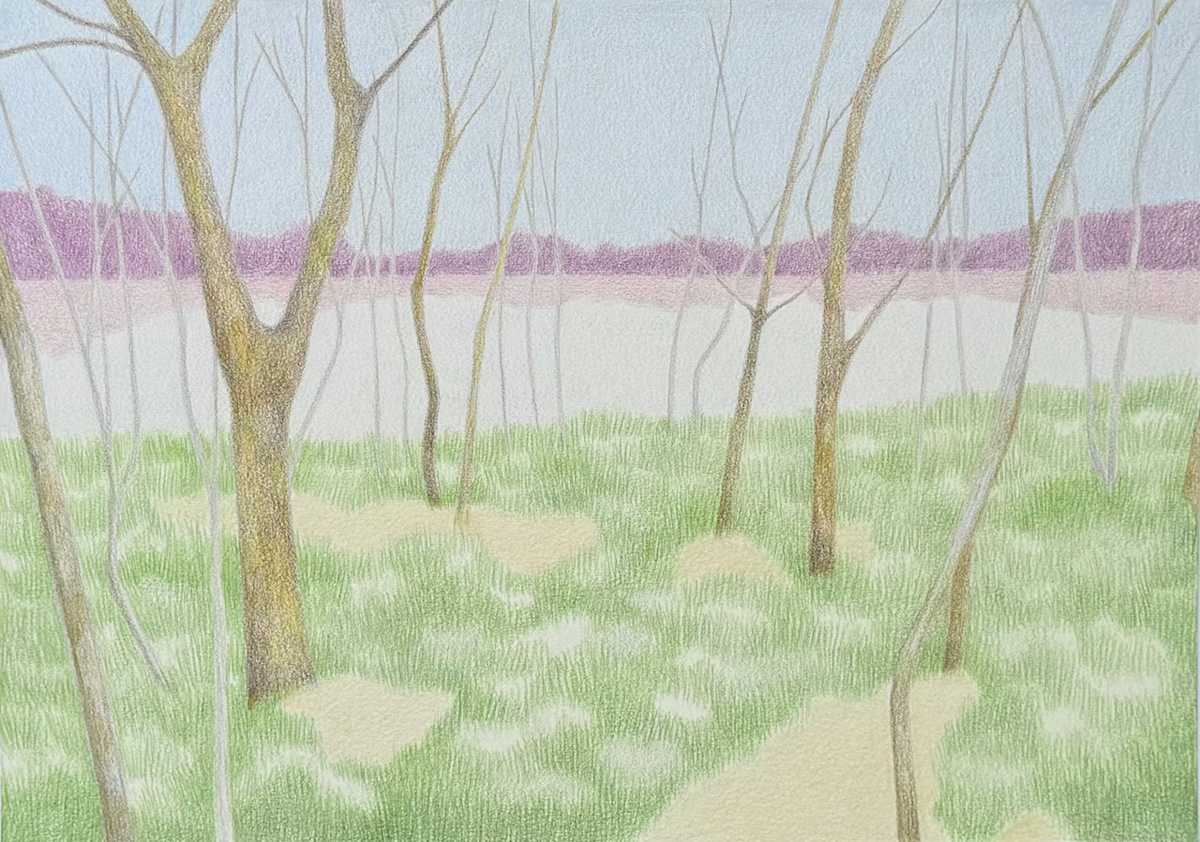 Spring Hopes by Mia Risberg 