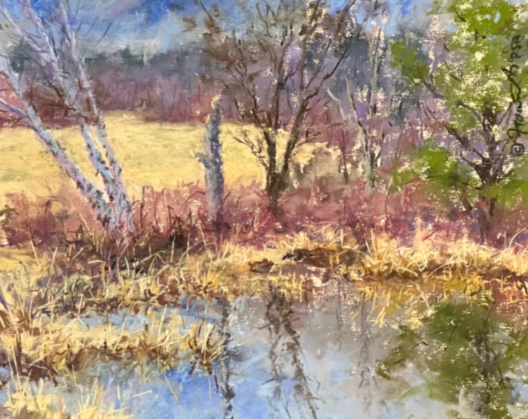 Wachusett Meadow (Goodnow Farm) by Jeff Fioravanti 