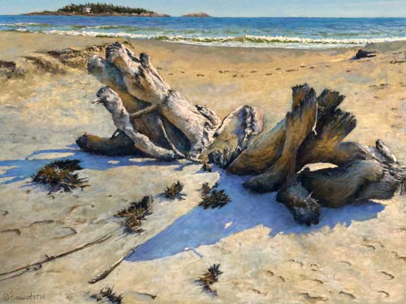 Beach Bones by Jeff Fioravanti, Image 1.