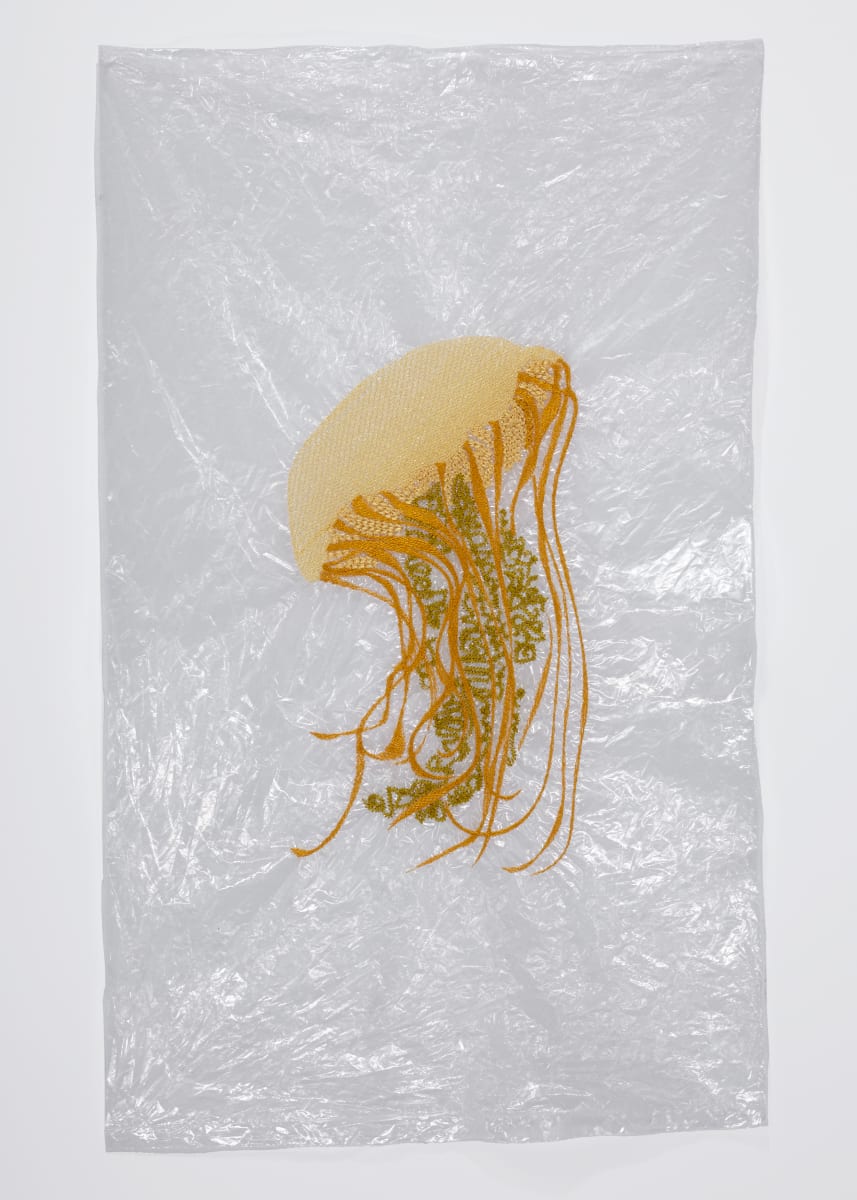 Jellyfish 001  Image: Jellyfish are the most ancient multi organ animal, having survived five mass extinction events over the past 600 million years. There is even a death-defying, biologically immortal species called the immortal jellyfish (Turritopsis dohrnii) that floats in the Mediterranean Sea and in the waters off of Japan. 

These fascinating creatures are also yummy snacks for many sea creatures. Unfortunately, many marine mammals also mistake the lookalike plastic bags for blobs of jelly in the sea. Just as Malawi recently set a precedent for banning plastic bags nationwide to save their goats and farmers, we need to develop an international strategy to save the species in the seas. Warming waters and other pollutants are enough of a challenge, without monstrous amounts of trash to navigate. 