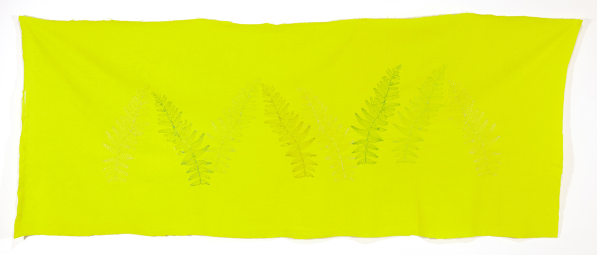 Ferns II, Image 1.