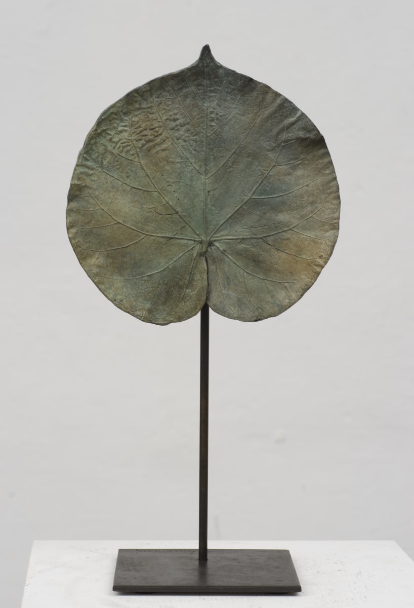 Petite feuille de Nénuphar (Green) by Clotilde ANCARANI 