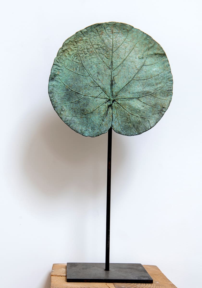 Petite feuille de Nénuphar Ronde (Green) by Clotilde ANCARANI 