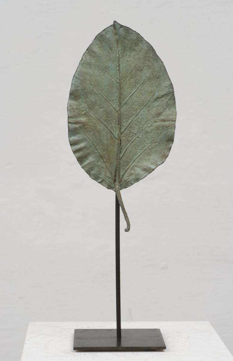 Petite feuille Ovale Pointue (Green) by Clotilde ANCARANI 