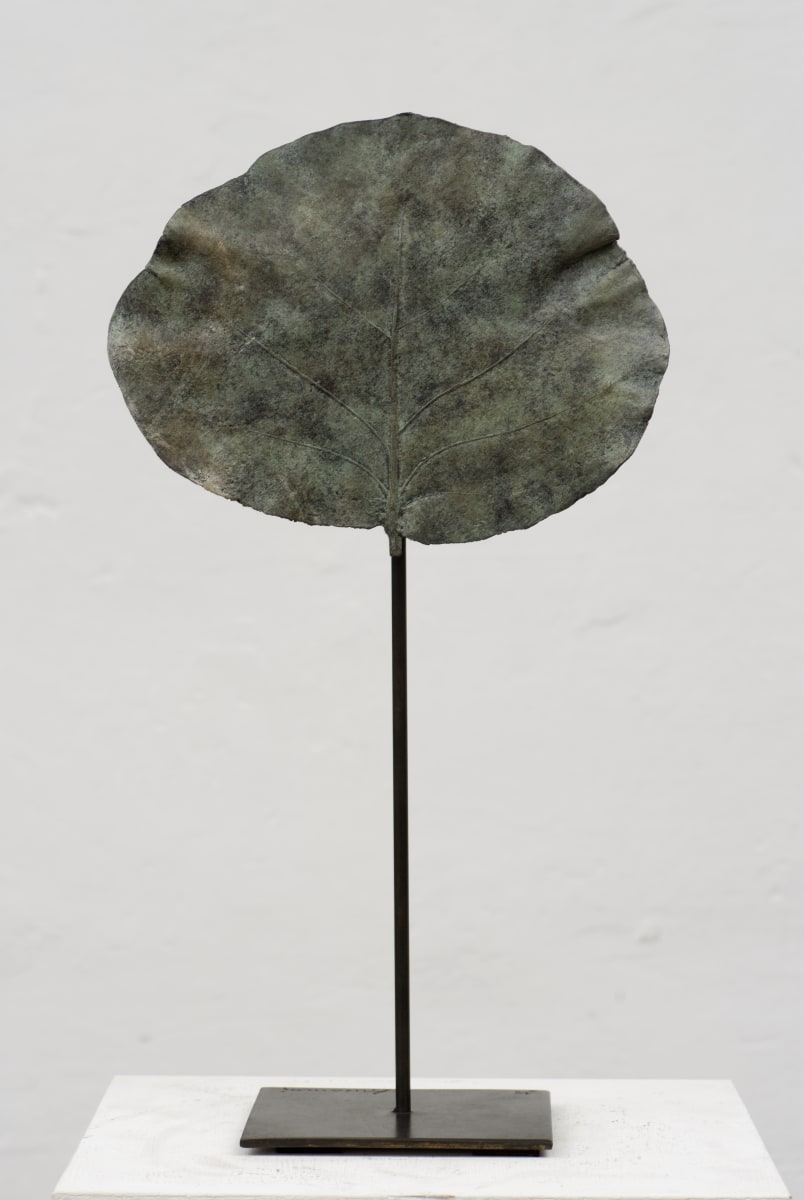 Petite feuille Ronde verte by Clotilde ANCARANI 