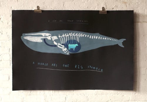Whale/Cow Diagram by Oliver Jeffers 