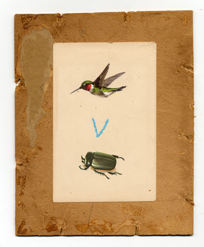 Bird V Beetle by Oliver Jeffers 