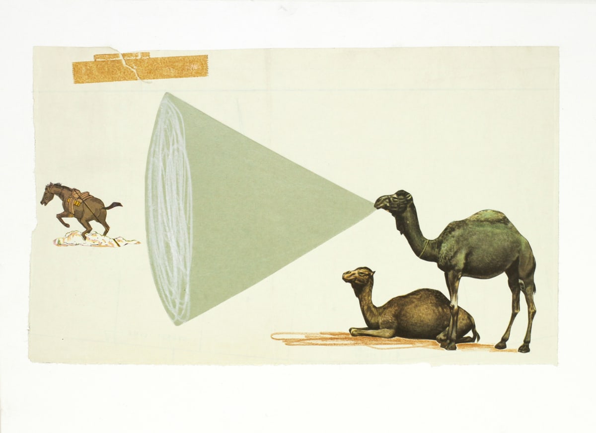 Camel Volume by Oliver Jeffers 