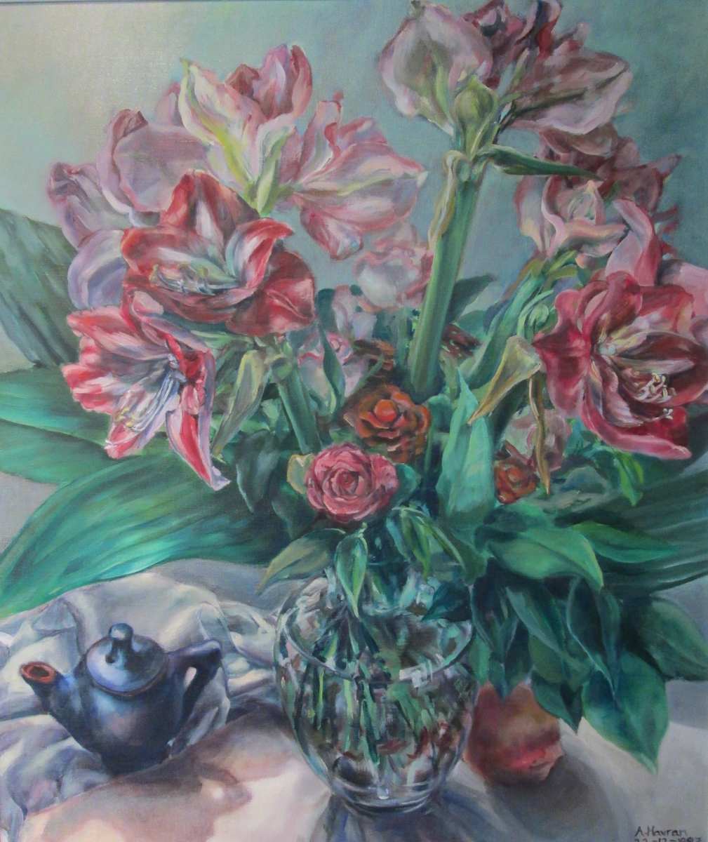 Amarylis by Agnes Havran 