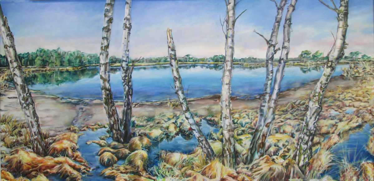 Sleeping wet dogs by Agnes Havran 