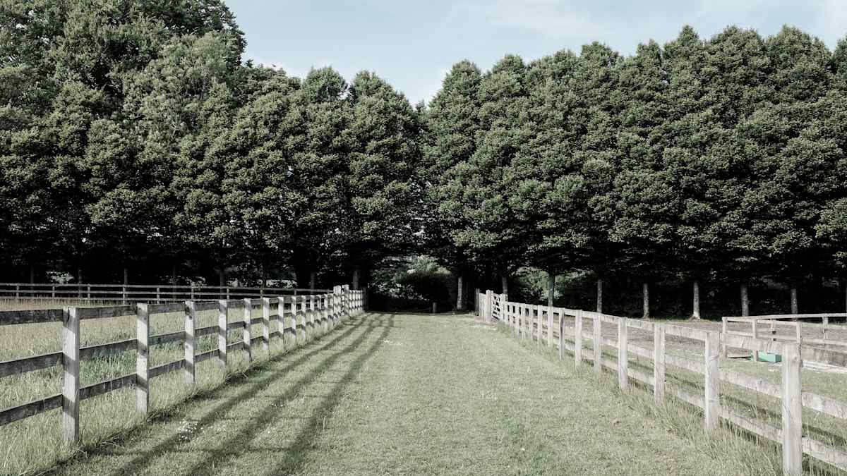 Ackling Dyke Walk by Richard Gregory, Image 1.